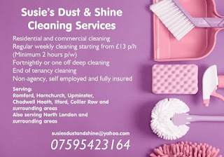 Susie's Dust & Shine Cleaning Services