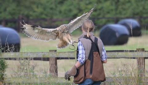 Shropshire Falconry Ltd