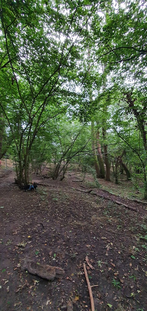 Hounds & Bounds, Woodland Walkies and Bark & Bound