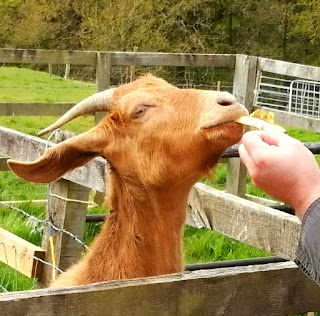 Fentons Farm Foods