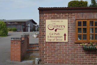 The Cattery LTD