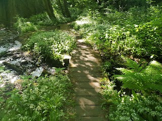 Delph Waterfall And Nature Trail