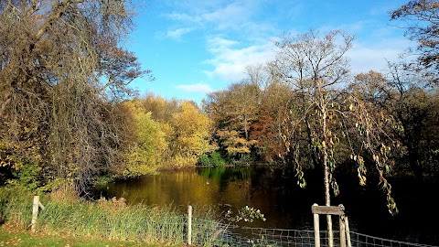 Coffee Shop & Ice Creams in the Park