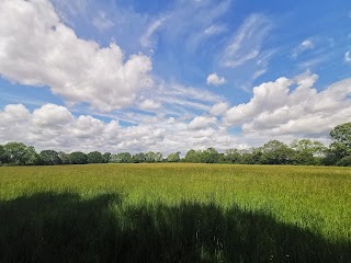 Wapley Bushes