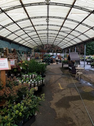 Kirktown Garden Centre