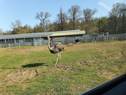 Woburn Safari Park