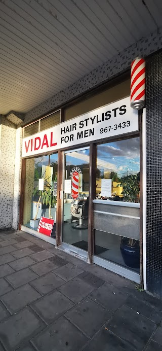 Vidal Hairstylists for Men