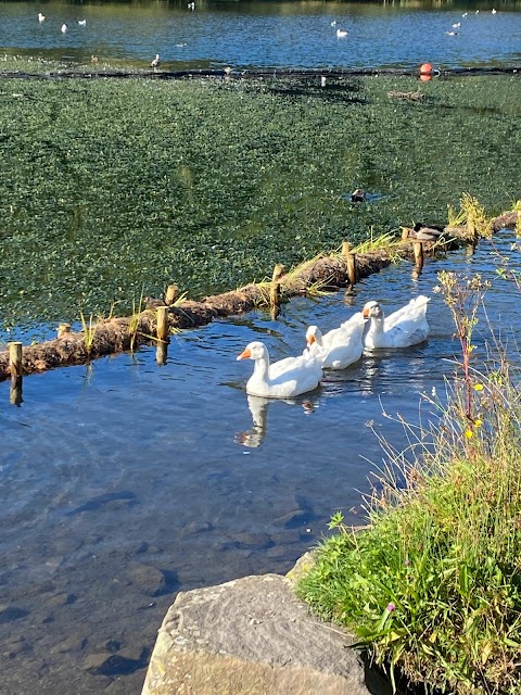 Clydach Vale Country Park