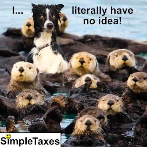 Simple Taxes