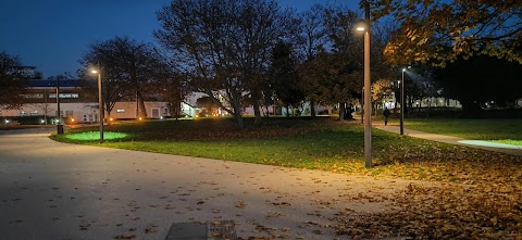 University Library Garden