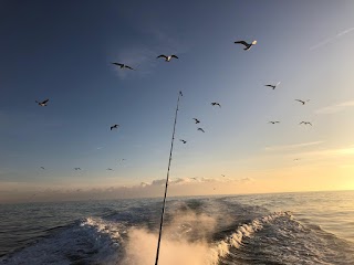 Sussex Fishing