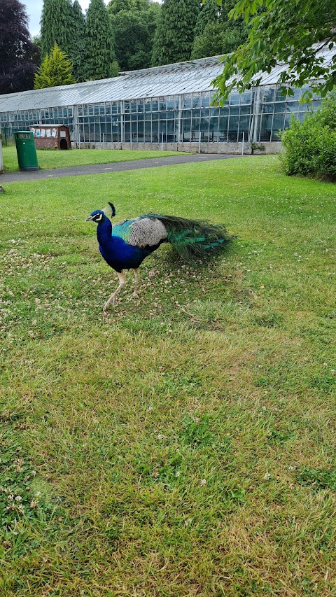 Camperdown Wildlife Centre