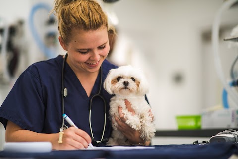 Kingston Veterinary Group