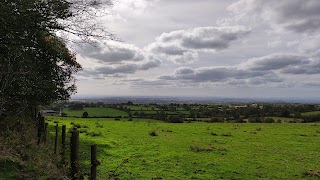 Beacon Hill Woods