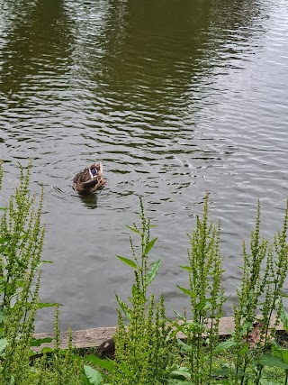 Langtons Lake