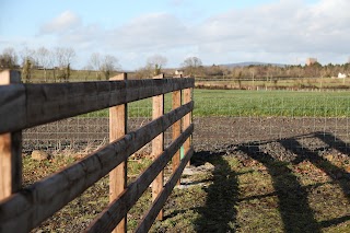 Ballyharvey Nursing & Boarding Kennels