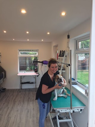 Tamworth Dog Grooming