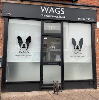 WAGS Dog Grooming