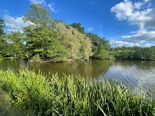 Water Garden