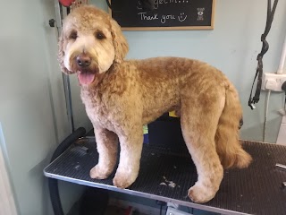 Trim and Tonic Dog Grooming