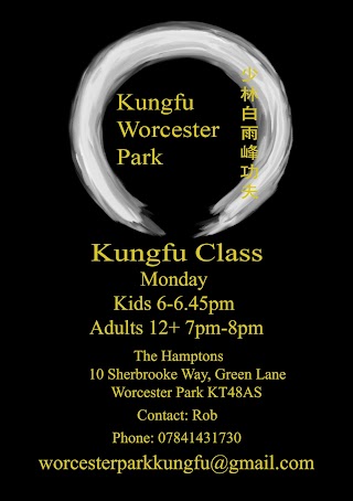 worcester park kungfu