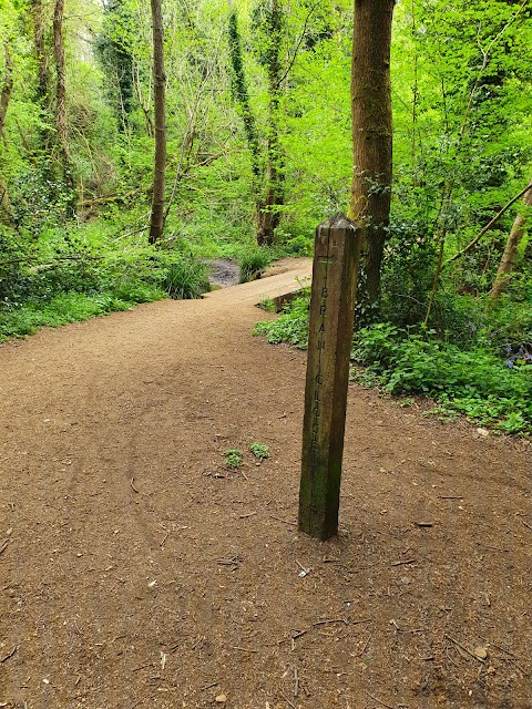 Blundells Copse