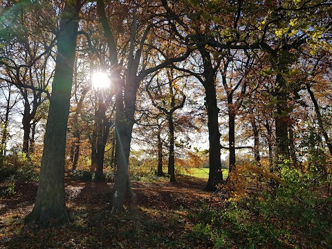 Sherdley Park