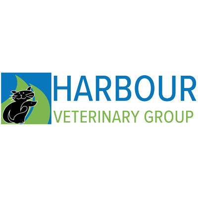 Harbour Veterinary Hospital