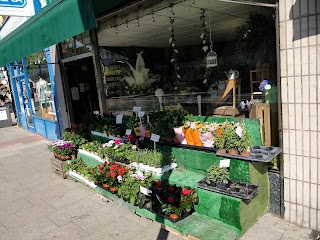 Sullivan's Florist