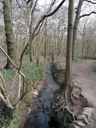 Swithland Wood South Car Park