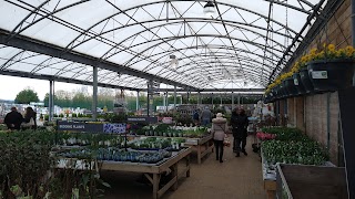 Dobbies Garden Centre Chesterfield