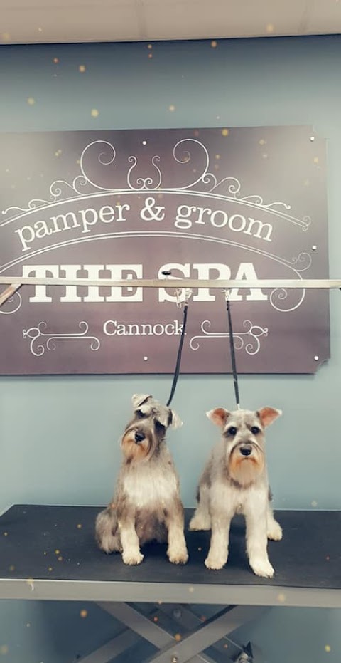 Dog Grooming - The Spa Cannock Pamper & Groom