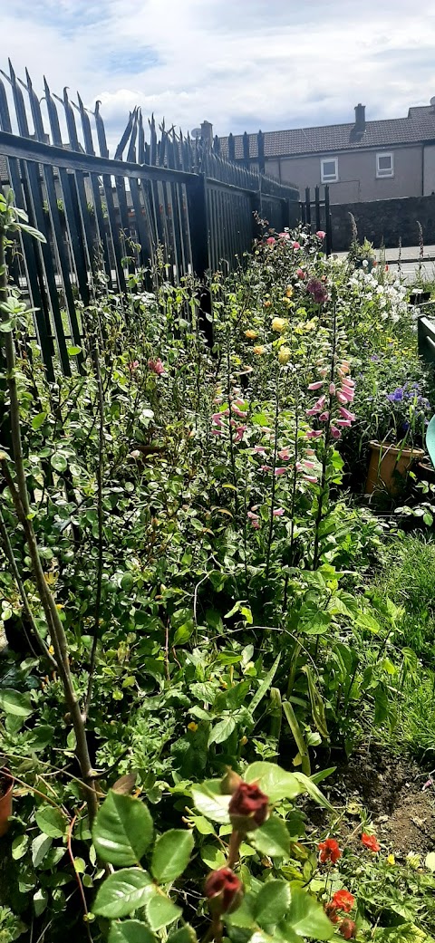 Garden Of Flowers Fettercairn