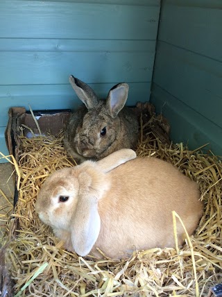 Emma's Holiday Hutches