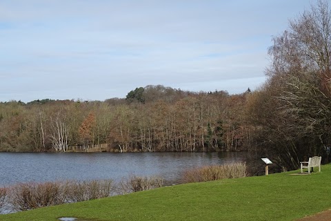 Lakeview Café at Horseshoe Lake