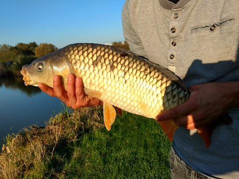 Aldbrough Leisure Park