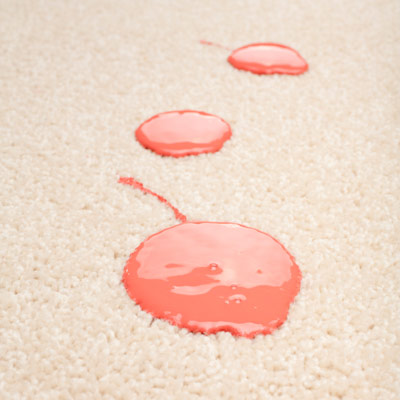 Norfolk Carpet Cleaning Services