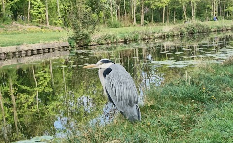 Sankey Valley Park