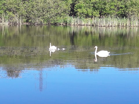 Chasewater Car Park