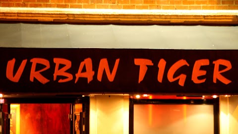 Urban Tiger