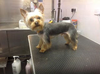 FURst Impressions Dog Grooming salon