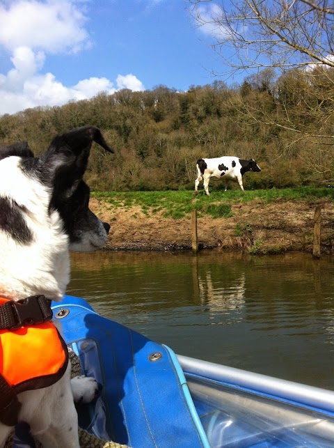 Escape to the River skippered boat trips