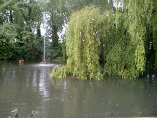 Trowbridge Park Pond