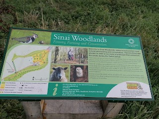 Sinai Park Woodlands