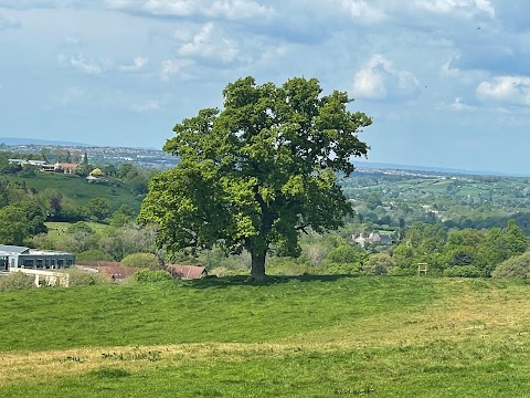 Oak Tree Day Nursery