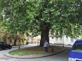 Savouring Bath