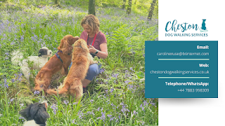 Cheston Dog Walking Services