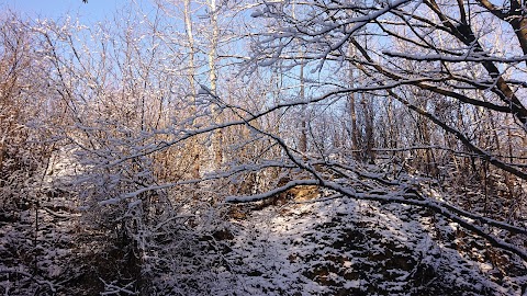 Бармацькі Гори