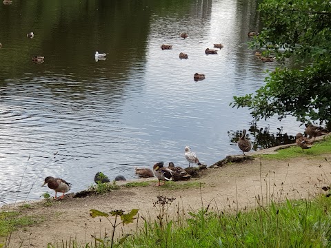 Orrell Water Park