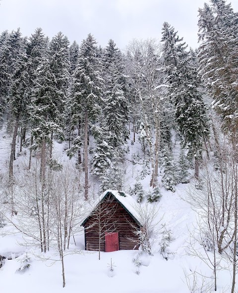 Snow Park Bukovel Enter